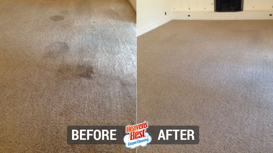 Heaven's Best Carpet Cleaning