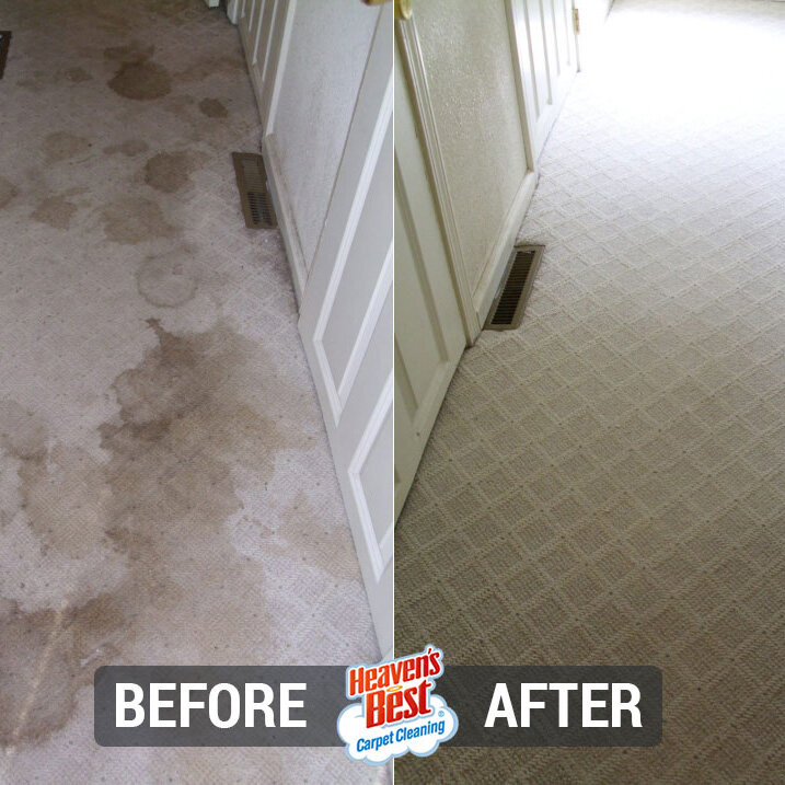 Heaven's Best Carpet Cleaning